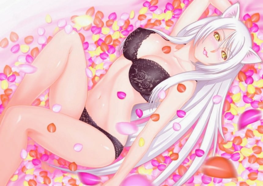     ,        ,    ,  ,     ,   